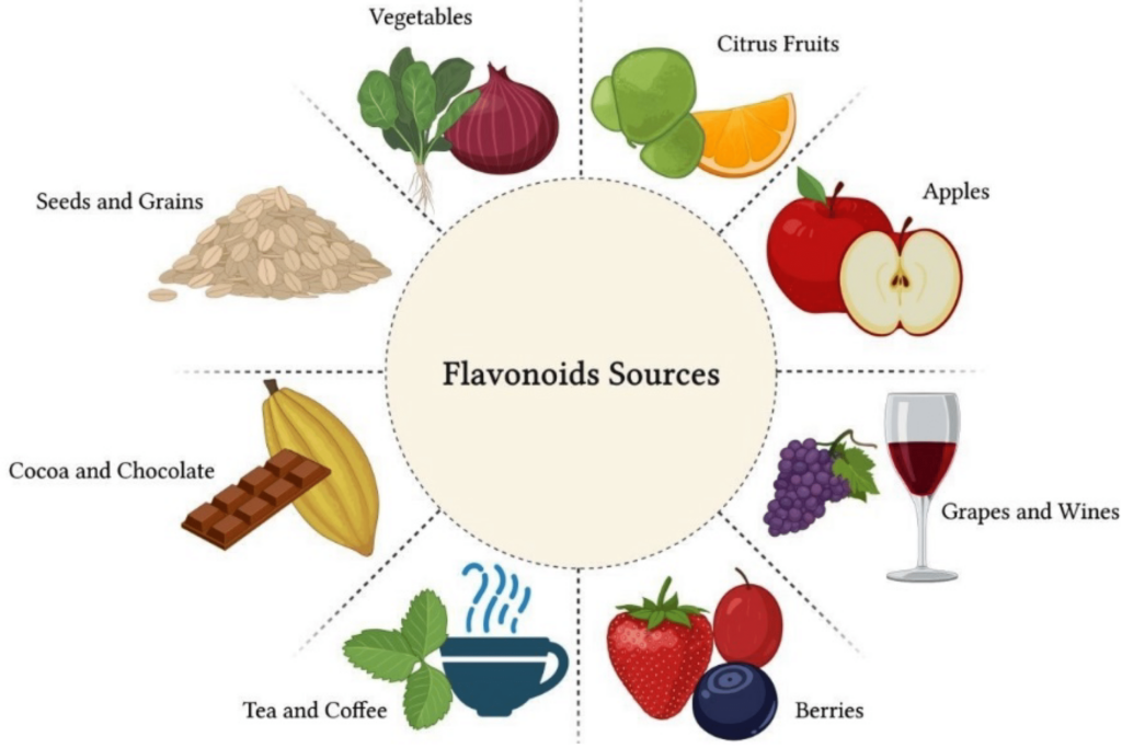 What are Flavonoids - Flavonoids Sources